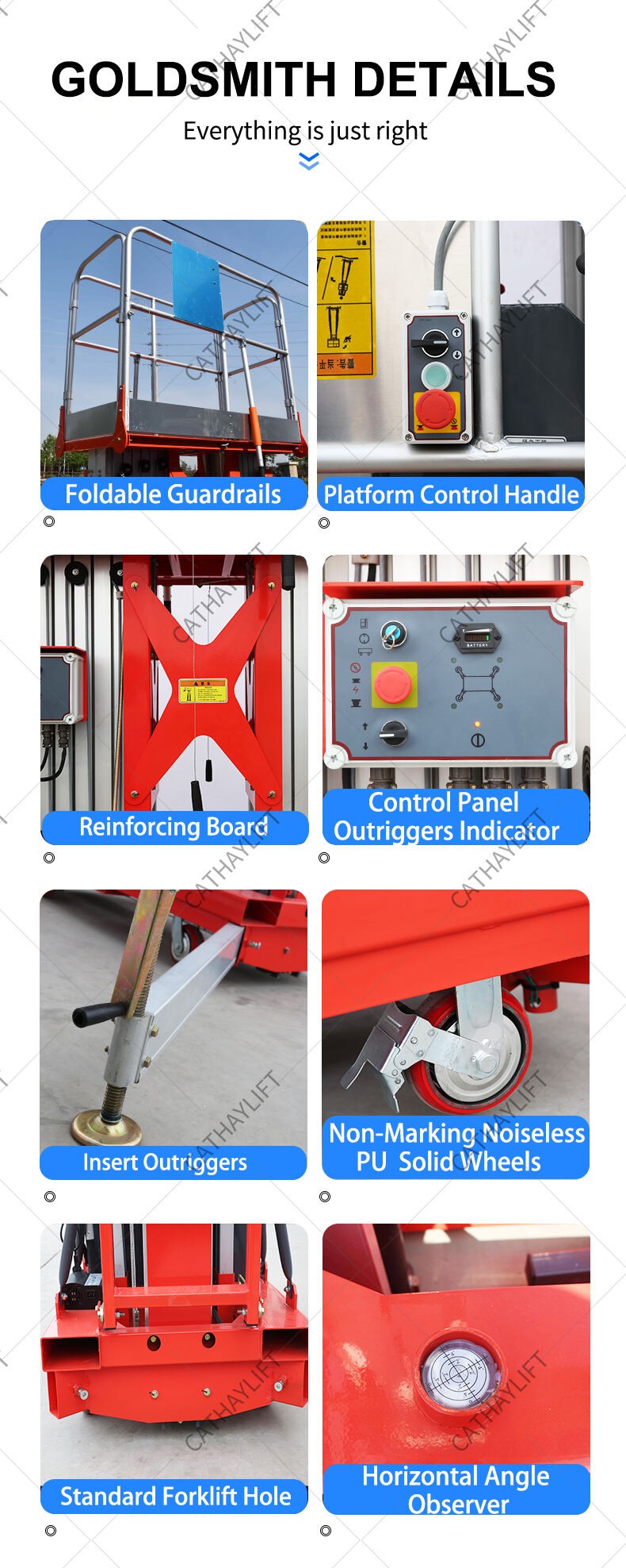 cathaylift dual mast vertical aerial work platform-Shandong Cathay Machinery Co Ltd 2