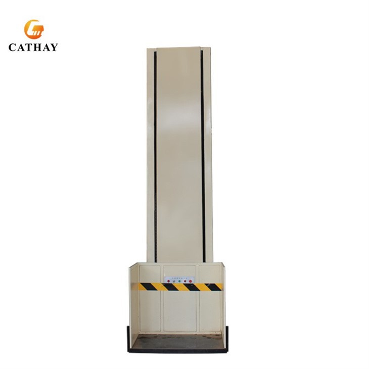 Disabled Passenger Lift