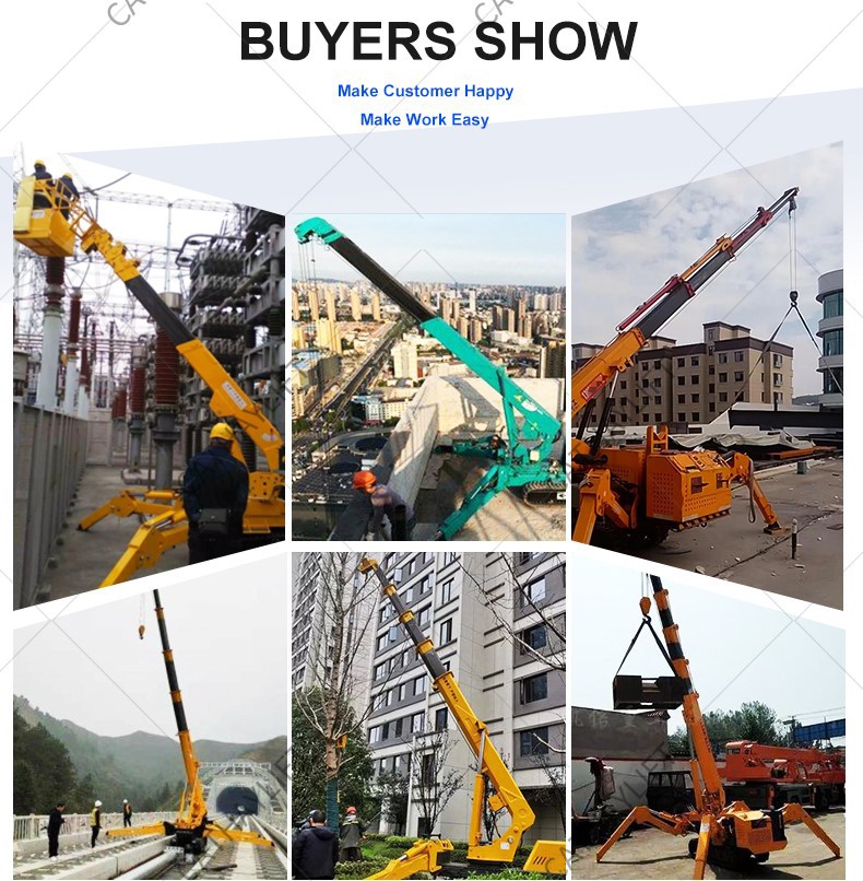 mini crawler crane 13