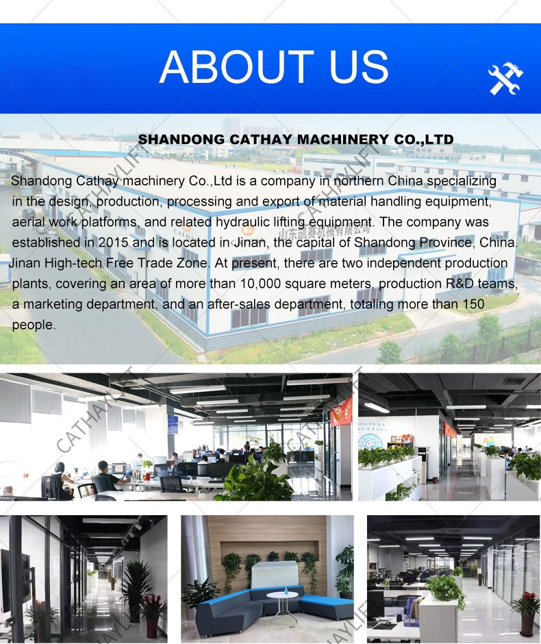 mini crawler crane 11